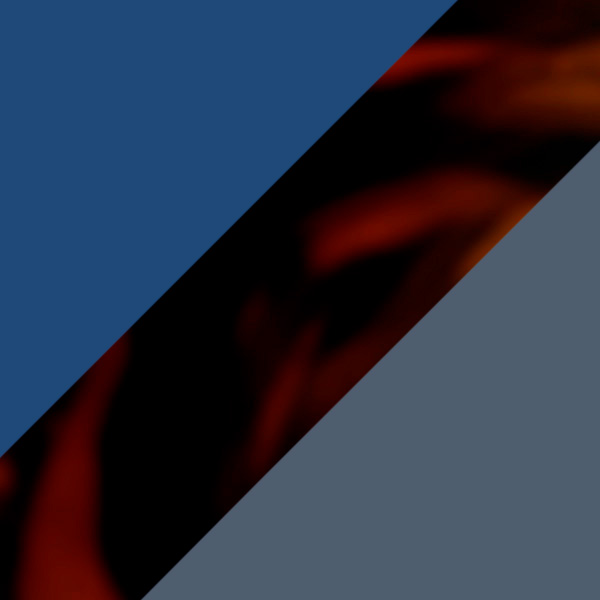 Solid Navy Blue/Tokyo Tortoiseshell