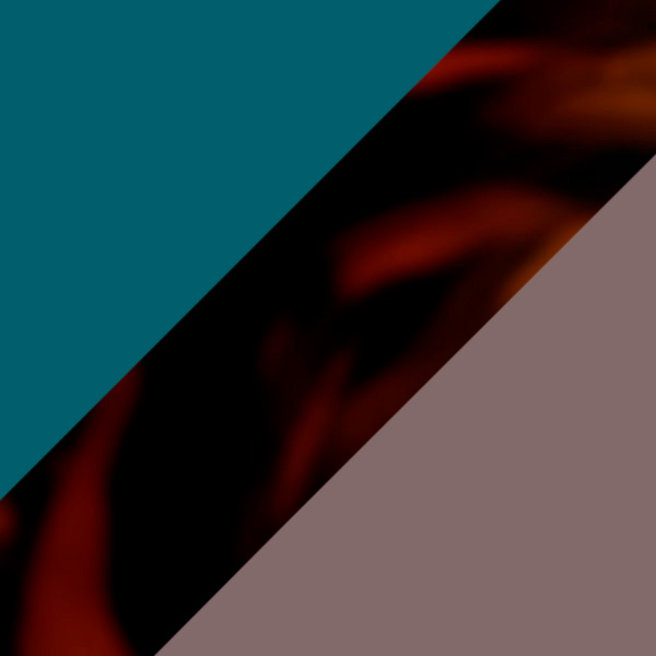 Brown and Peacock Blue Tortoiseshell/Chocolate Brown