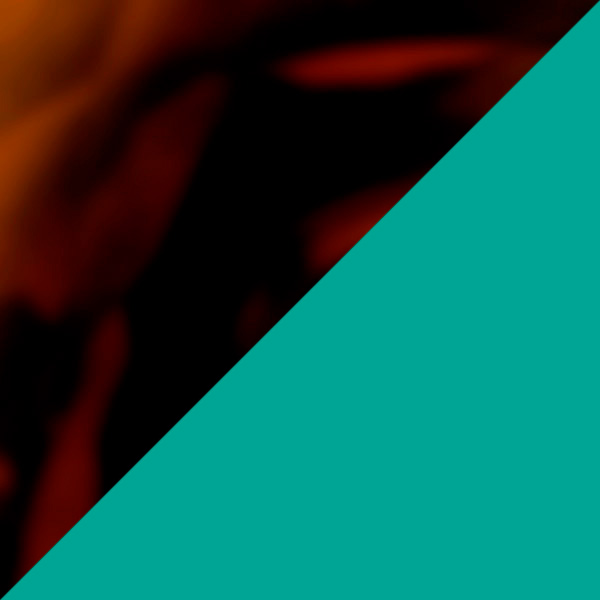 Tortoiseshell/Transparent Green