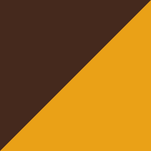 Tortoiseshell and Creamy Nude/Tortoiseshell