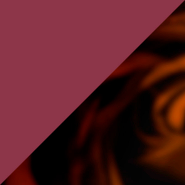 Brown Tortoiseshell and Burgundy/Brown Tortoiseshell