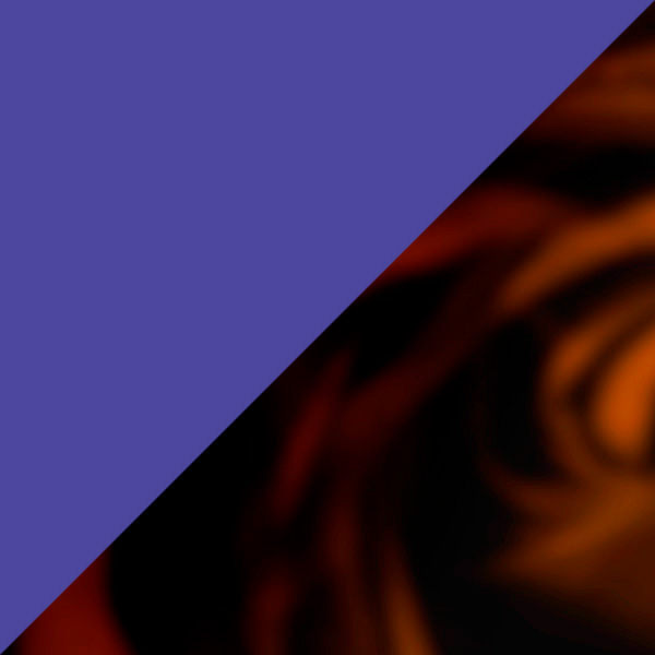 Transparent Blue/Tortoiseshell