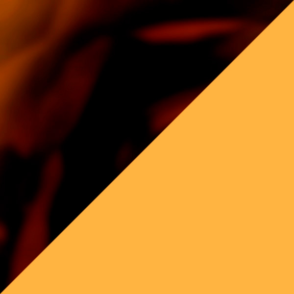 Tortoiseshell/Solid Mustard