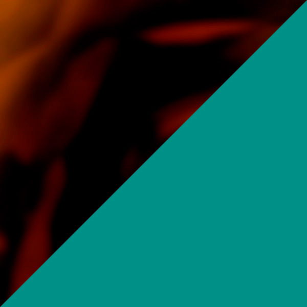 Tortoiseshell/Transparent Green