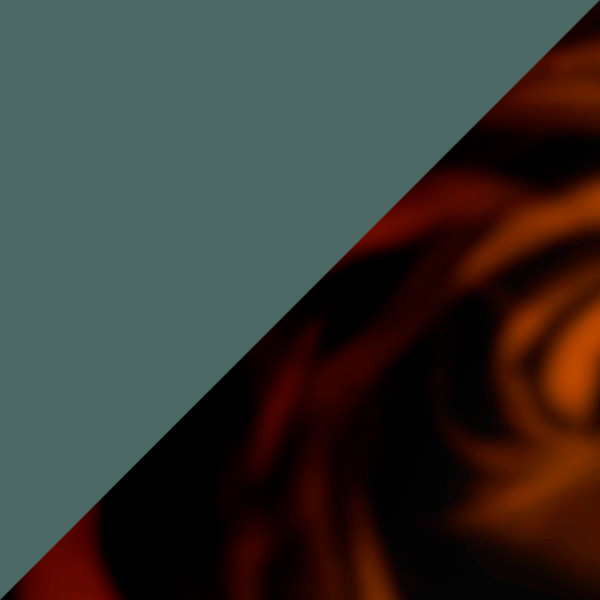 Transparent Green/Tortoiseshell