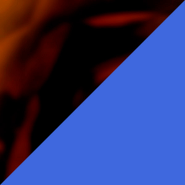 Tortoiseshell/Solid Fluo Electric Blue