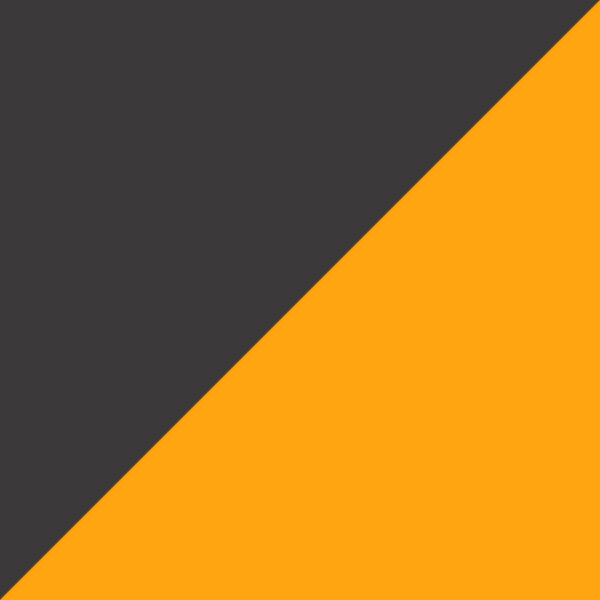Brushed Gray/Golden Yellow