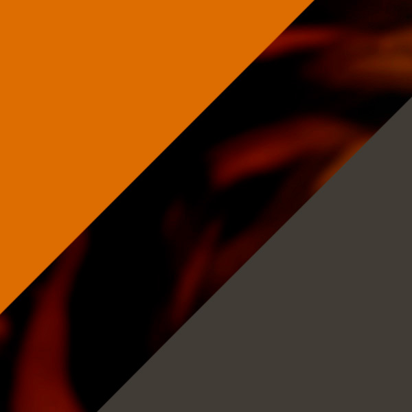 Brown Tortoiseshell/Yellow