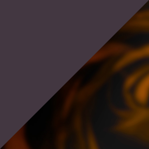 Transparent Violet/Tortoiseshell