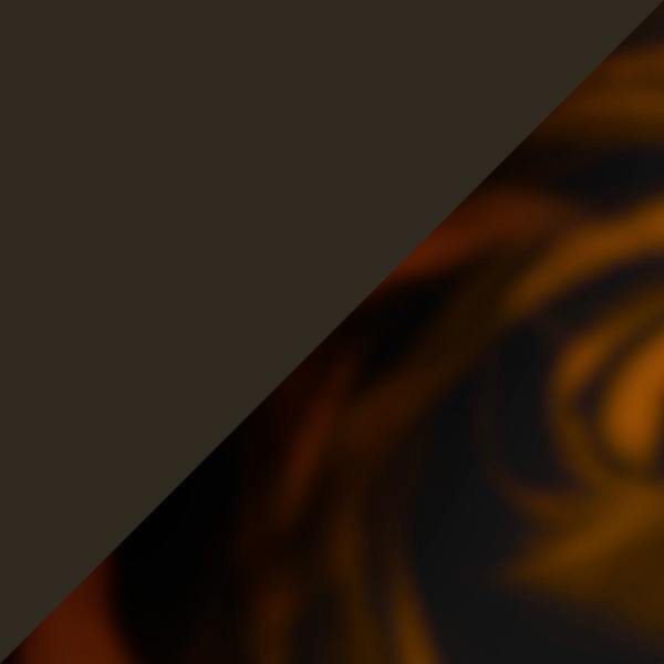 Transparent Khaki/Tortoiseshell