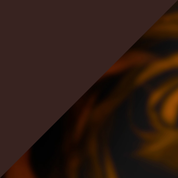 Transparent Brown/Tortoiseshell