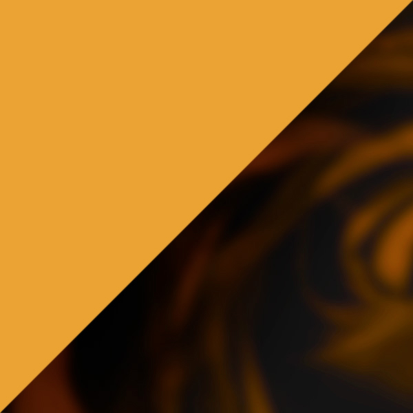 Transparent Honey Yellow/Tortoiseshell