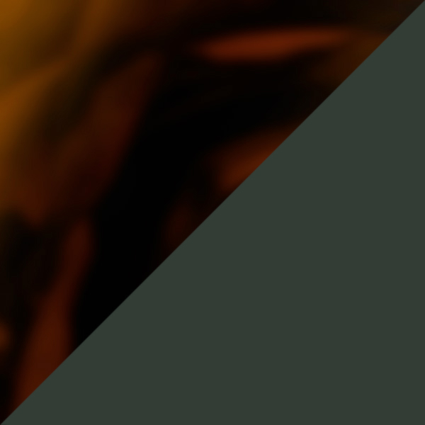 Tortoiseshell/Transparent Khaki