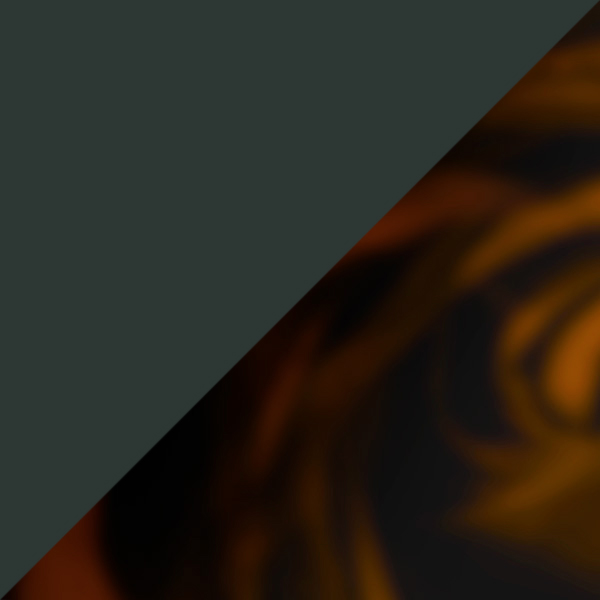 Transparent Green/Tortoiseshell