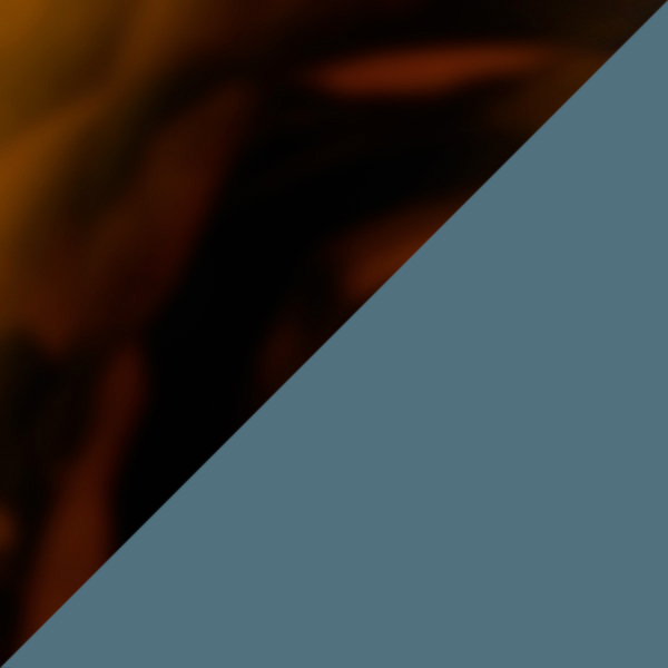 Tortoiseshell/Transparent Steel Green