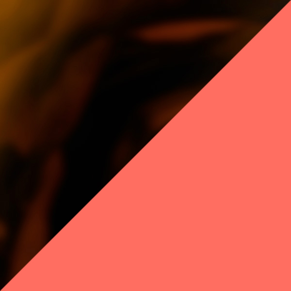 Tortoiseshell/Solid Orange