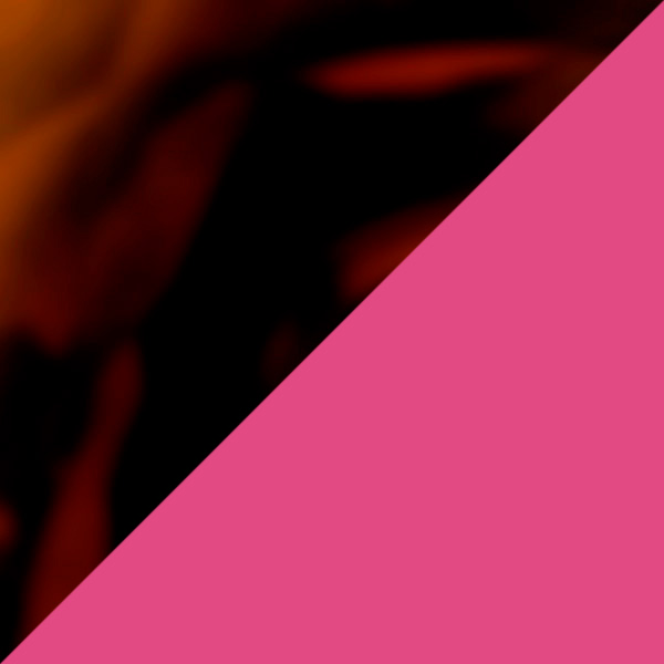 Tortoiseshell/Purple Pink