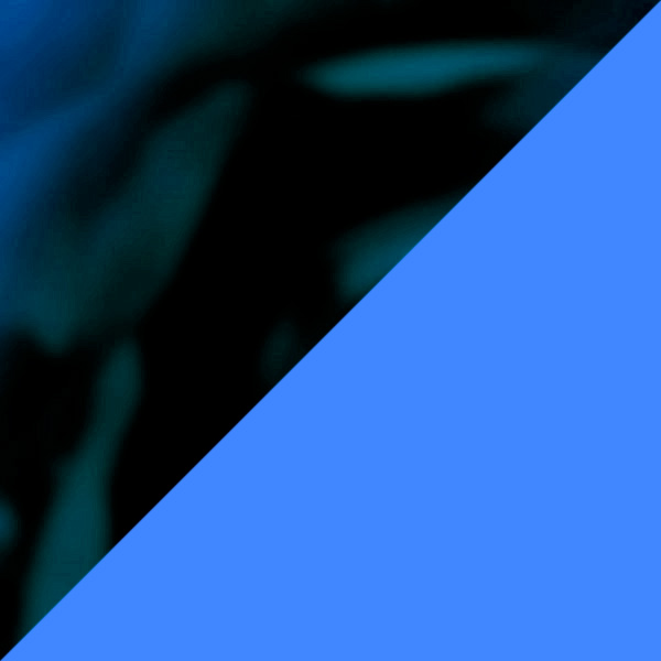 Blue Tortoiseshell/Klein Blue