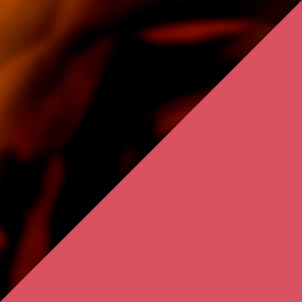 Brown Tortoiseshell/Red