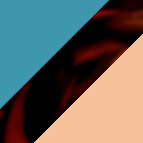 Tortoiseshell and Transparent Teal Green/Matte Waterfall Green