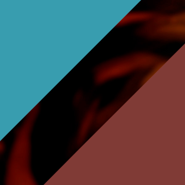 Tortoiseshell and Transparent Teal Green/Matte Chestnut Brown