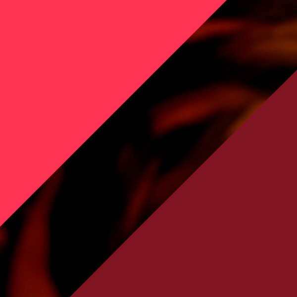 Tortoiseshell and Solid Raspberry/Matte Dark Red