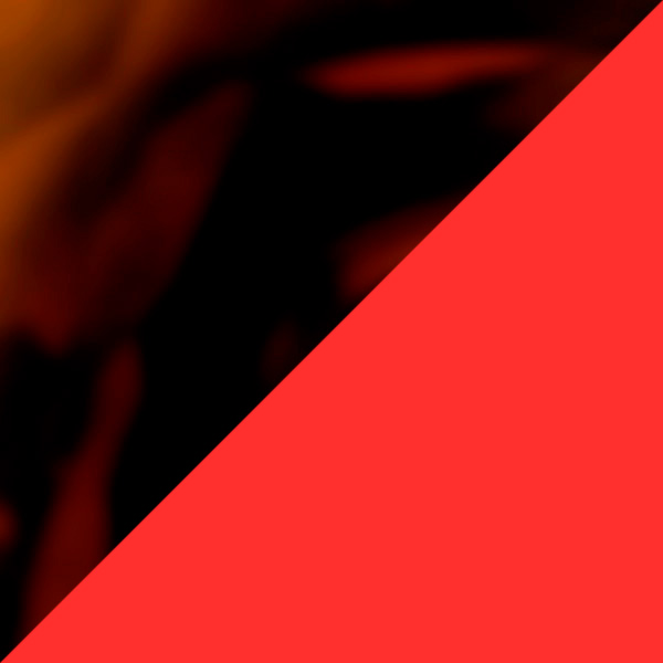 Brown Tortoiseshell/Red