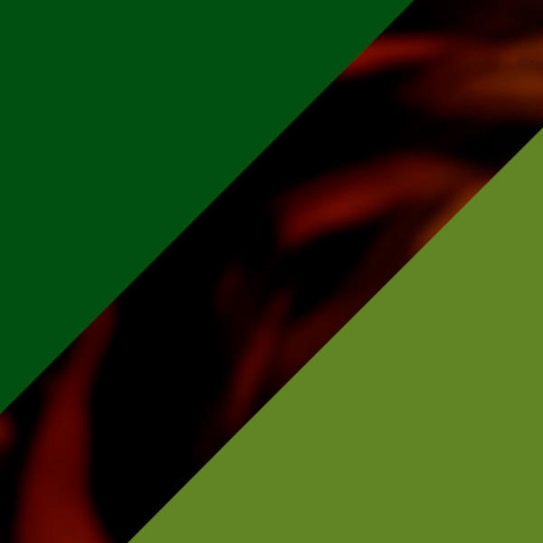 Tortoiseshell and Transparent Green/Matte Lime Green