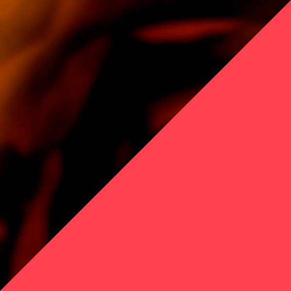 Tortoiseshell and Red Eyebrow/Red