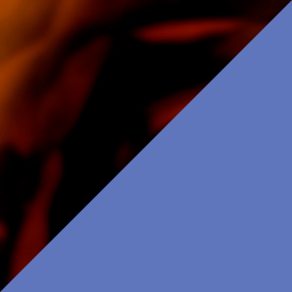 Tortoiseshell/Matte Ultramarine Blue