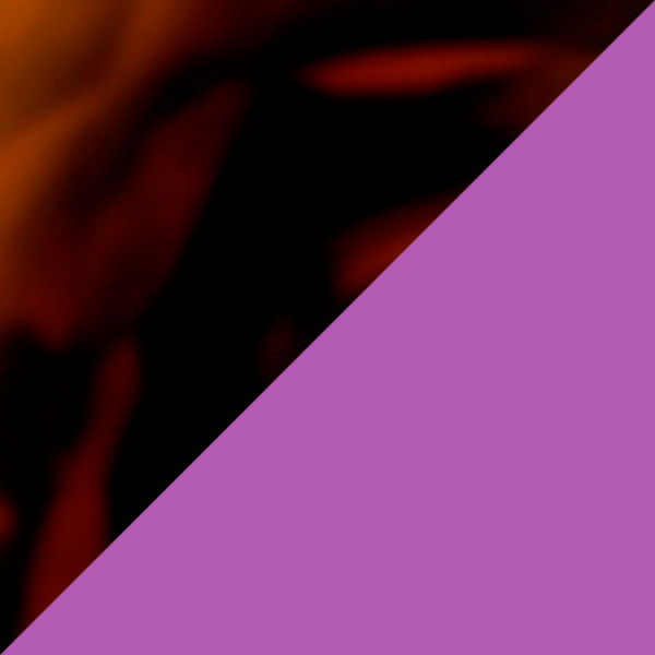 Brown Tortoiseshell/Aubergine