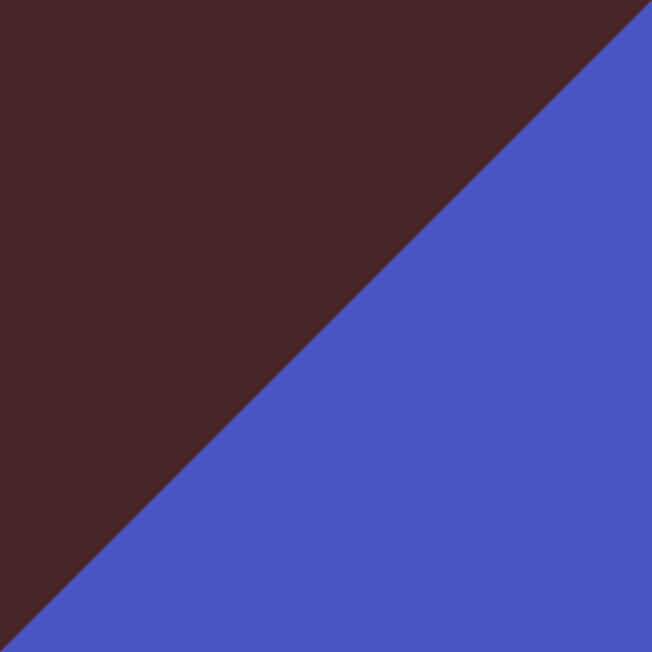 Tortoiseshell/Matte Bright Blue