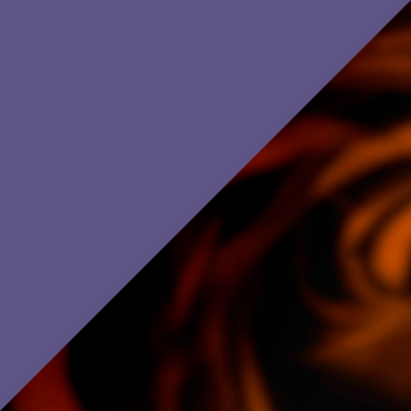 Brown Tortoiseshell and Navy Blue/Navy Blue