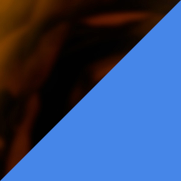 Tortoiseshell/Dark Neon Blue