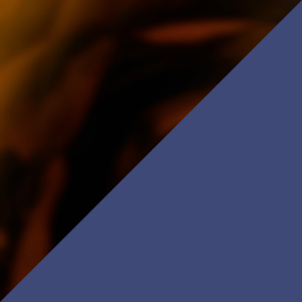 Tortoiseshell/Peacock Blue