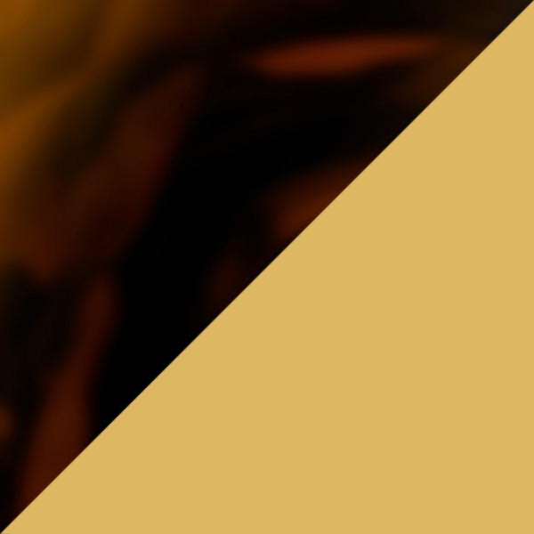 Tortoiseshell/Curry Yellow