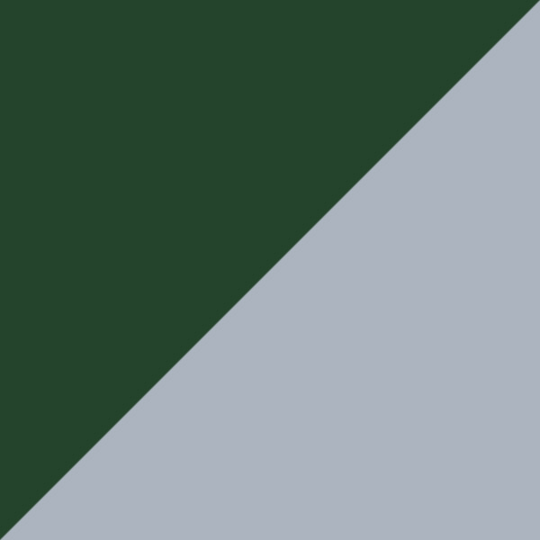 Transparent Green/Cairo Gray