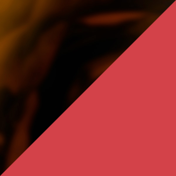 Tortoiseshell/Red Paris