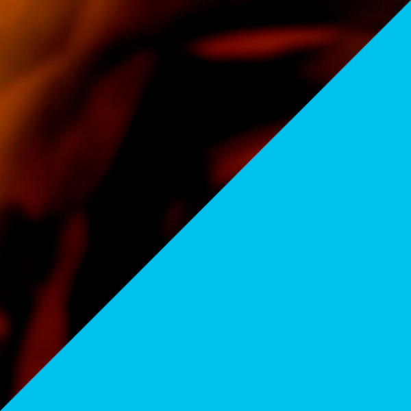 Tortoiseshell/Vespa Blue