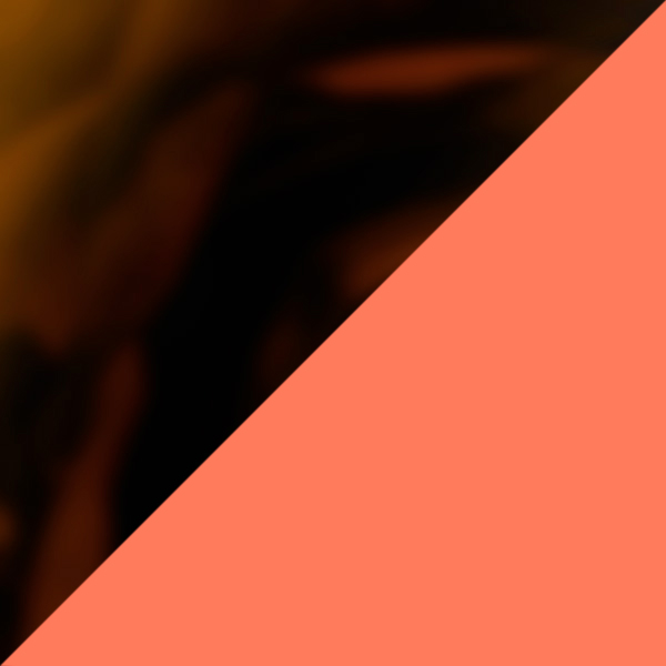 Tortoiseshell/Gurvan Orange