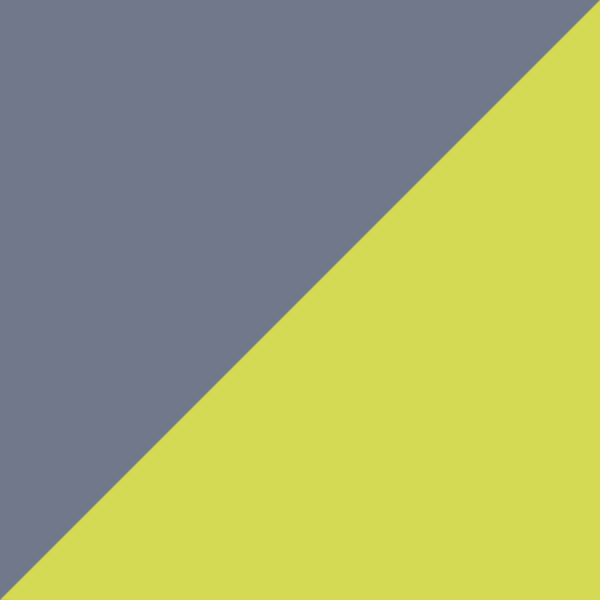 Opaline Gray/Fluorescent Yellow