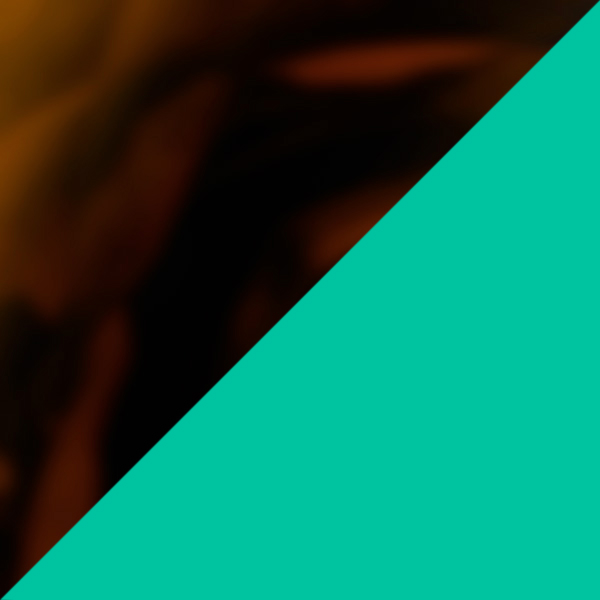 Tortoiseshell/Dark Neon Green