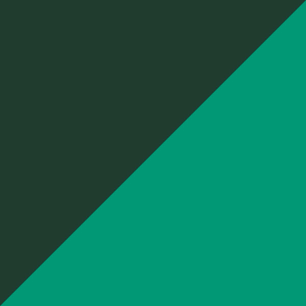 Transparent Green/Neon Dark Green