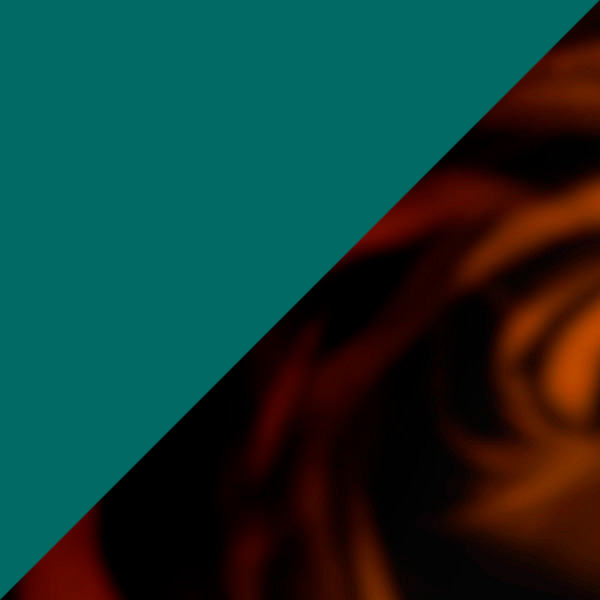 Tortoiseshell/Portobello Green