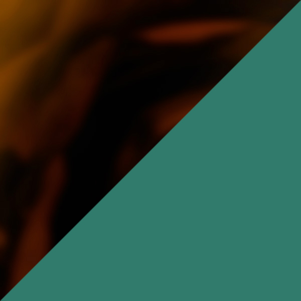 Tortoiseshell/Portobello Green