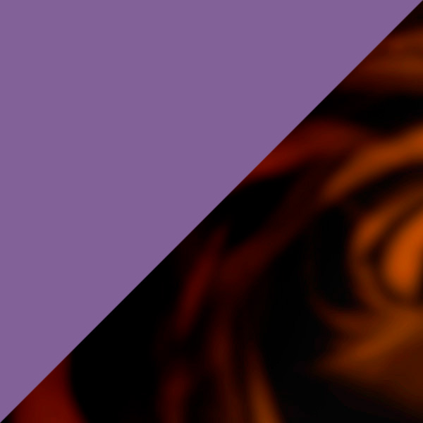 Brown and Purple Tortoiseshell/Purple