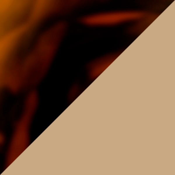 Brown Tortoiseshell/Translucent Beige Gray