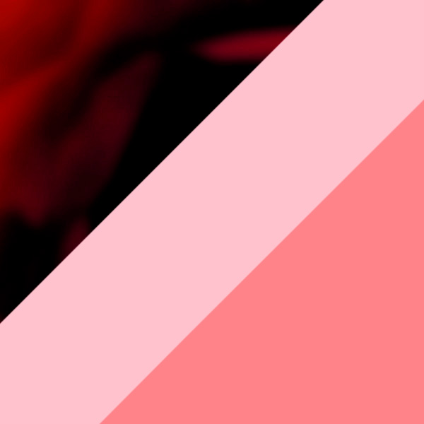 Red Tortoiseshell/Coral