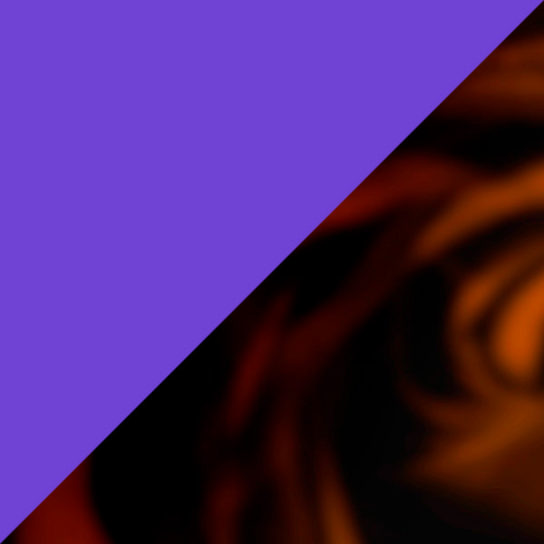 Translucent Brown and Purple Tortoiseshell/Translucent Purple