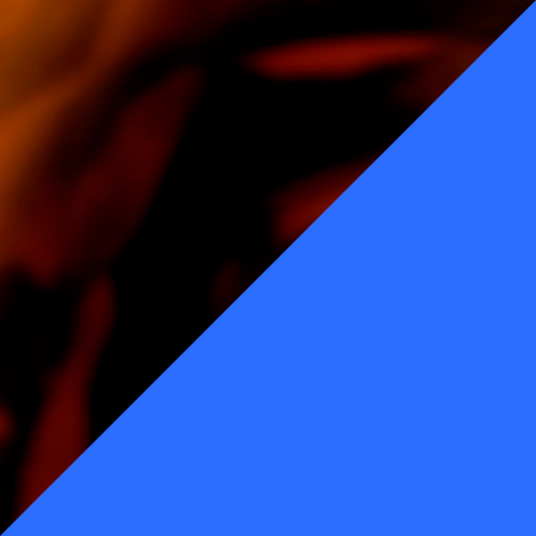 Brown Tortoiseshell/Blue Klein